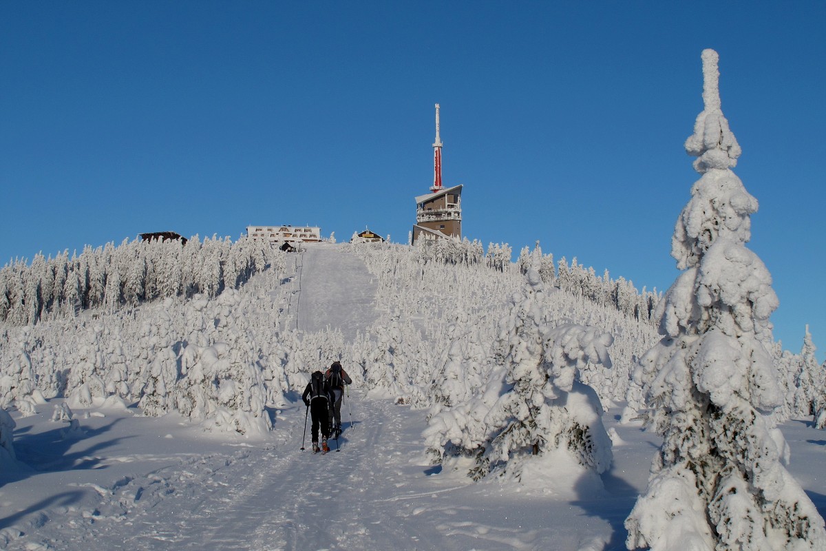 img00013.jpg