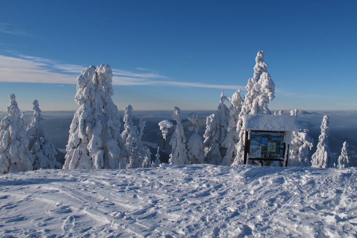 img00017.jpg