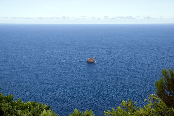 img00221.jpg