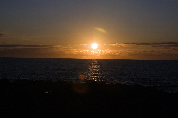 img00256.jpg