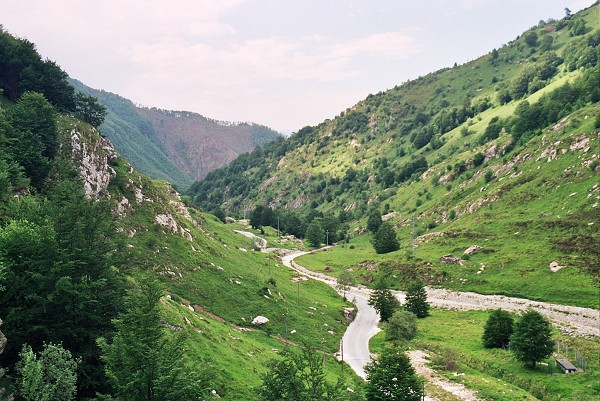img00008.jpg