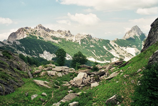img00013.jpg