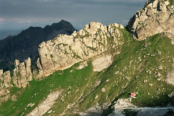 img00019.jpg