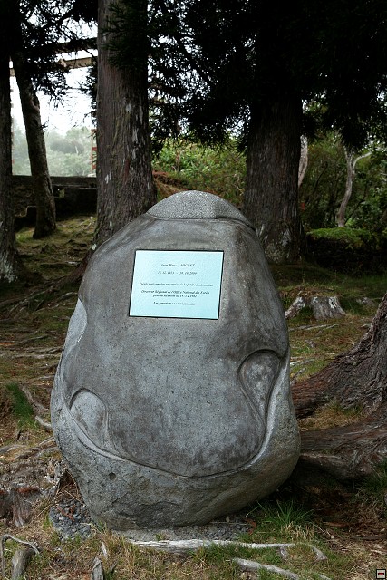 img00016.jpg