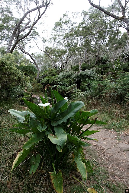 img00019.jpg