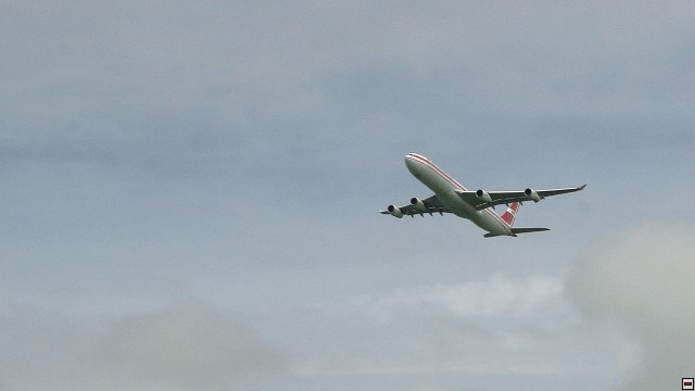 img00145.jpg