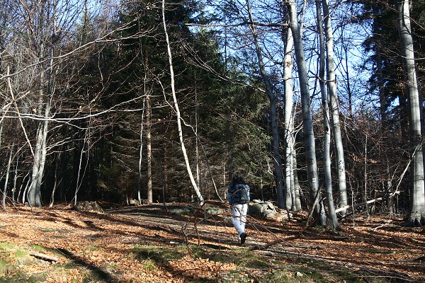 img00004.jpg