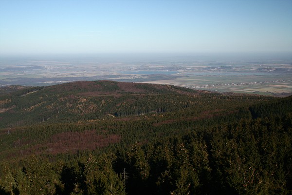 img00011.jpg